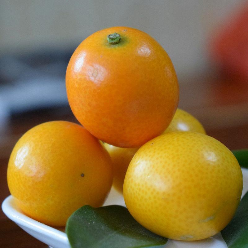 特价10斤29宜昌蜜桔子早熟橘子新鲜青皮蜜橘薄皮柑橘孕妇水果三天内
