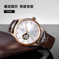 [支持后盖定制刻字服务]天王表男表 昆仑系列机械表皮带休闲男士手表腕表GS51154