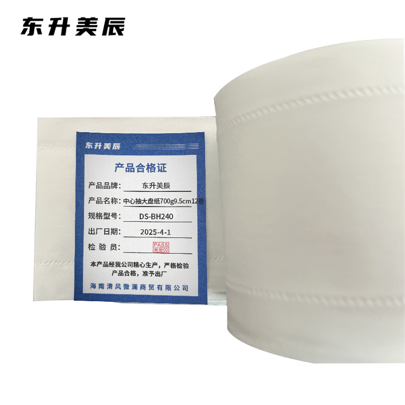 东升美辰 中心抽大盘纸700g9.5cm 12卷 DS-BH240 箱高清大图