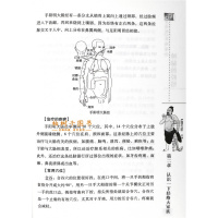 [医药]正版神秘的经络帝内经经络理论认识经络十二经脉子午流注 中医药出版社