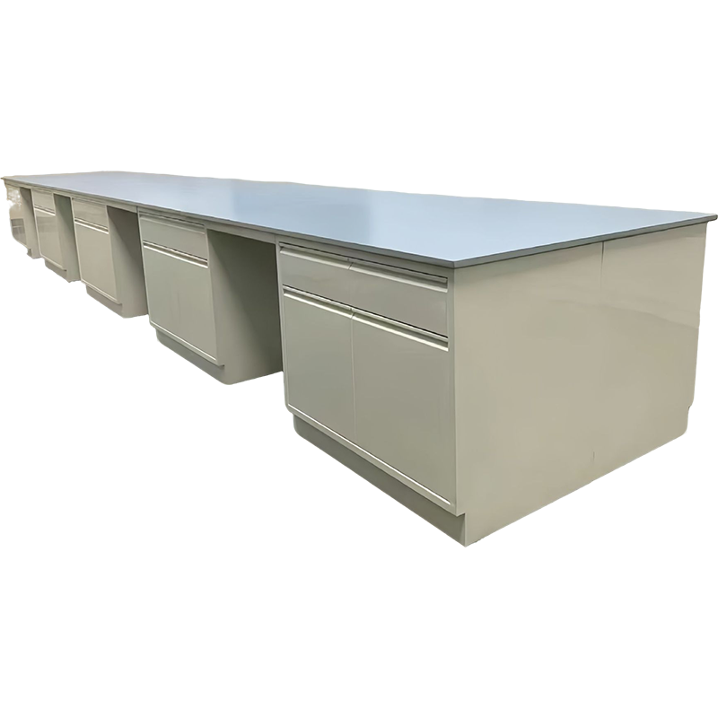 鑫导 实验台 SYT165-钢木边台定制 米高清大图