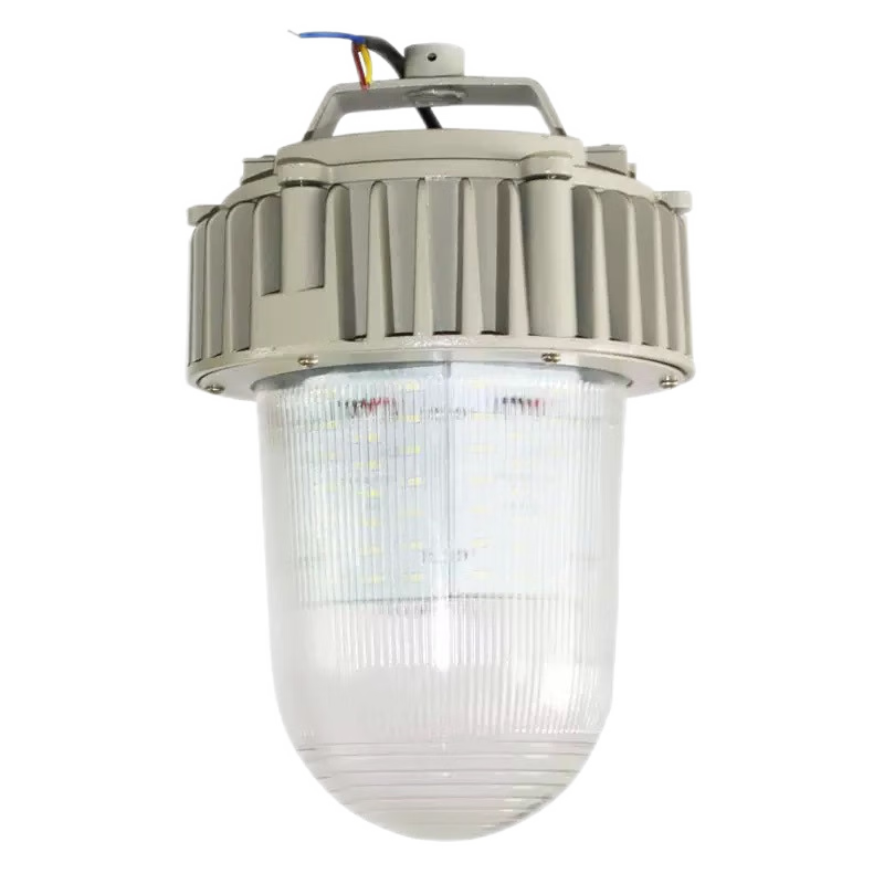 虎光风行 LED 防爆工作灯 FL-BTC6155-01 银白高清大图