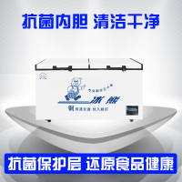 冰熊(bing xiong)BC/BD-518升商用大冰柜 卧式大冰库冷柜 冷藏冷冻转换展示柜 卧式双门顶开冰柜
