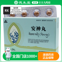 金诃 安神丸 0.3g*24丸/盒