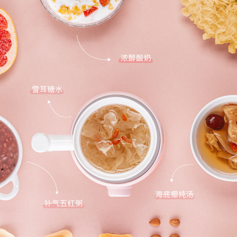 天际(TONZE)养生壶杯陶瓷电热杯电炖杯办公室煮粥煮花茶陶瓷杯一人享水杯加热牛奶神器煮粥0.6L DGJ06-06AD