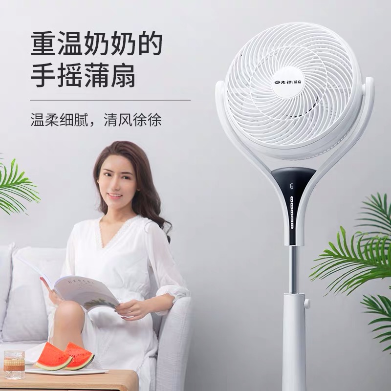 先锋(Singfun)电风扇蒲扇落地扇循环扇遥控定时客厅卧室家用宿舍摇头立式 FPS30-18BR高清大图