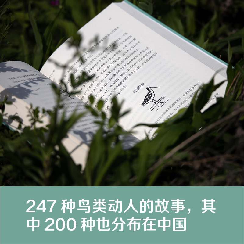 醉染图书“天际线”丛书:鸟鸣时节:英国鸟类年记9787544785556高清大图