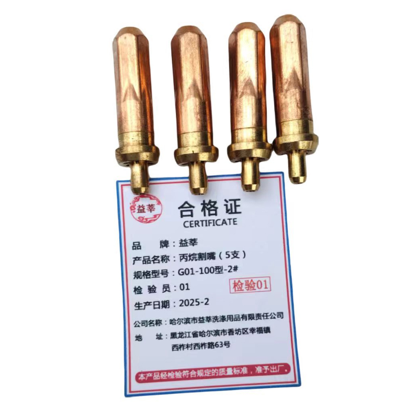 益莘 丙烷割嘴(5支) G01-100型-2# 盒