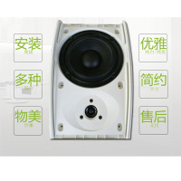 二分频挂壁音箱