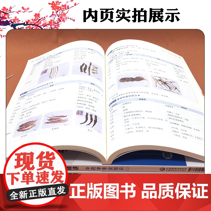 3本套装 2025国家执业药师职业资格考试教材精讲 中药学专业知识一二中药学综合知识与技能 中国医药科技出版社高清大图