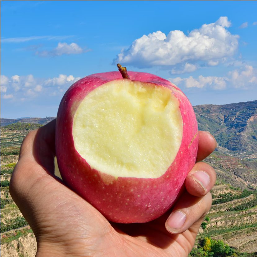 三峡高山果园基地冰糖心苹果8斤大果80-85MM/箱高清大图