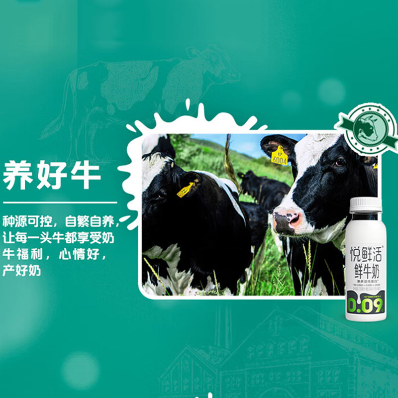 君乐宝牛奶鲜醇口感天然营养日常随身常备巴士杀菌乳260g×8瓶高清大图