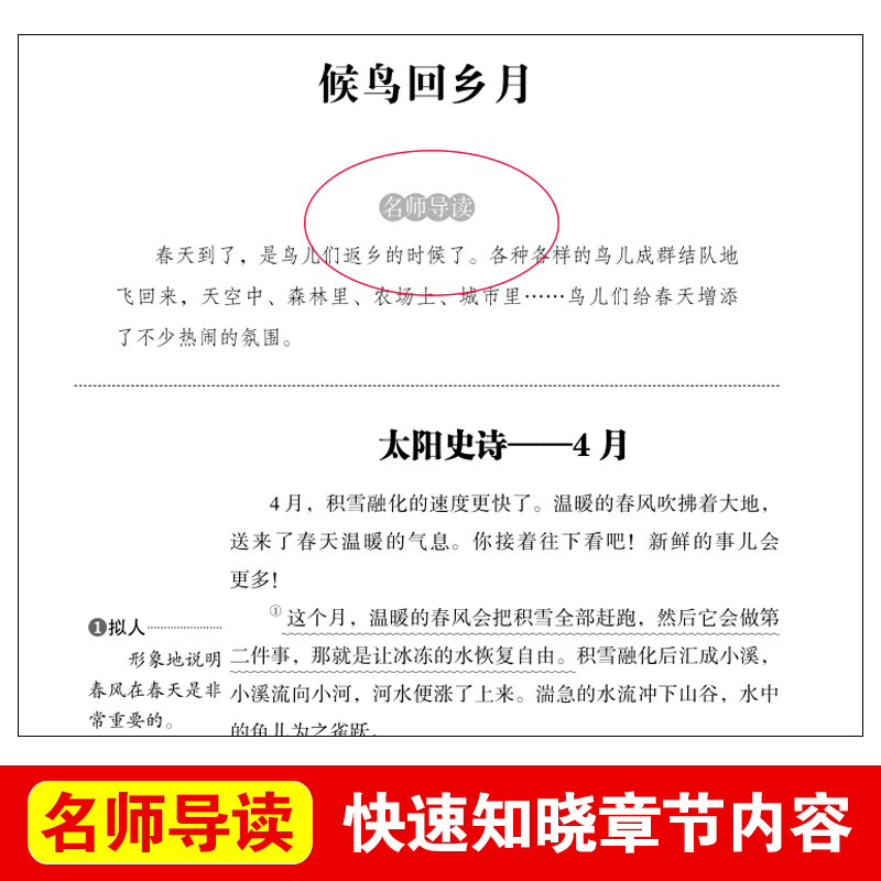 森林报 [正版]森林报四年级下册春夏秋冬合订本比安基原著名师导读带批注无障碍精读版儿童小学生版三四五六年级上册下册通用立