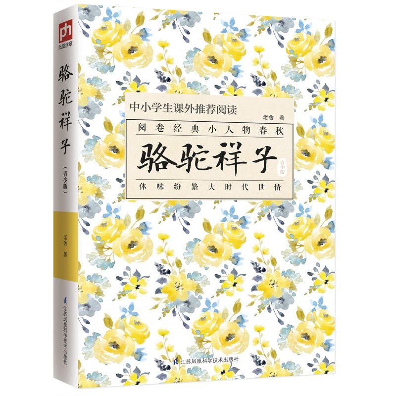 骆驼祥子+边城+城南旧事 3册 中小学生课外阅读书目原著无删减初中高中青少版学生版现代文学 中国现代散文 文学创作