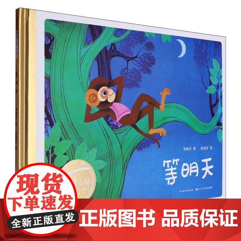 百年百部中国儿童图画书经典书系·等明天高清大图