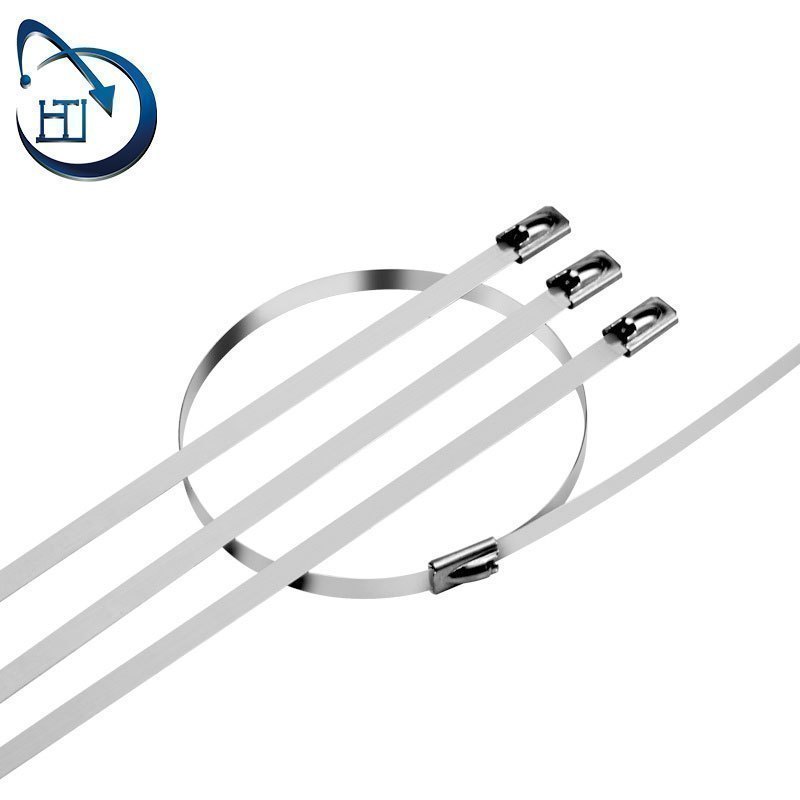 htl螺丝部件 不锈钢扎带7.