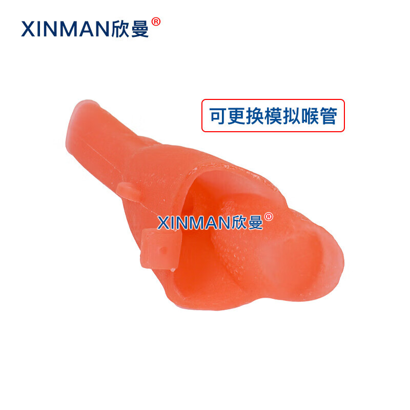 欣曼科教 高级成人气管插管操作训练模型 气道管理模拟人 急救气管插管模拟人XM-5800高清大图