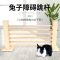 兔子障碍跳杆 威毕兔子障碍跳杆跨栏比赛训练用品宠物兔兔锻炼玩具跳高跳远栏杆