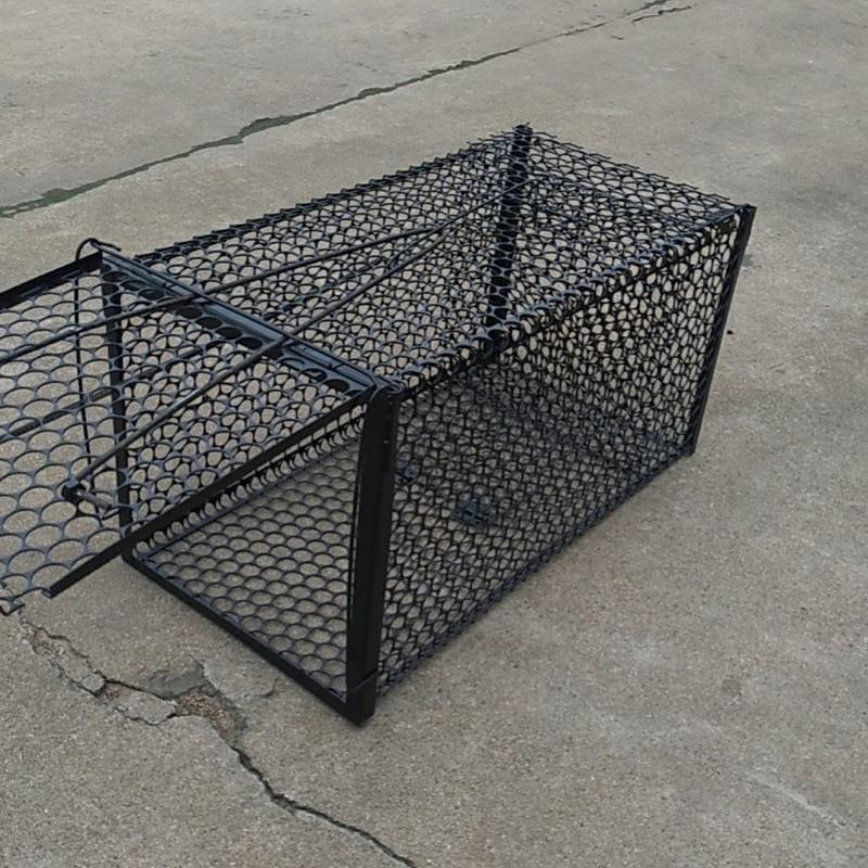 人道捕猫笼救助笼养猫笼寻猫笼诱捕笼宠物笼特大号笼神器中号381818