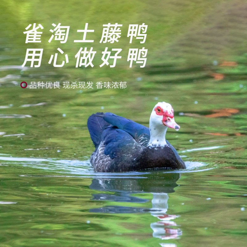 [苏鲜生推荐]雀淘 皖南红脸番鸭4.3-4.7斤/只 1只装 新鲜现杀 冷冻净膛竹林溪水河鸭