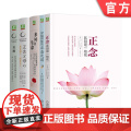 正版套装 卡巴金心理学作品集套装全5册 正念+多舛的生命+穿越抑郁的正念之道+正念父母心+觉醒 正念减压心灵疗愈心正