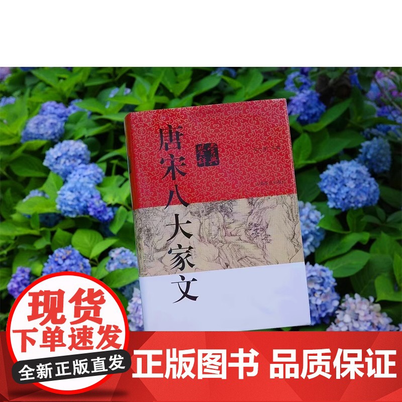 2021年新版唐宋八大家文鉴赏辞典 古代诗词学习书籍初高中学生工具书籍中国古诗词中国文学鉴赏辞典图书上海辞书出版社高清大图