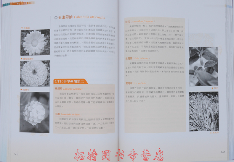 [正版] 香气与空间 10 商周 温佑君 1.3kg 原版进口书 生活风格高清大图