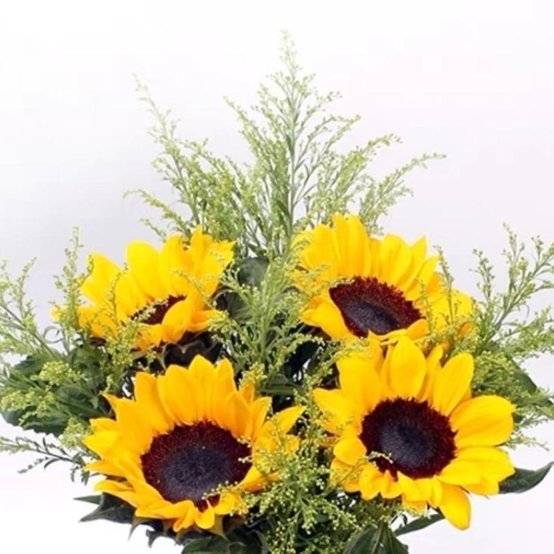 向日葵花中花太阳花水养鲜花真花昆明基地直发混搭花束顺丰冷链 迷你