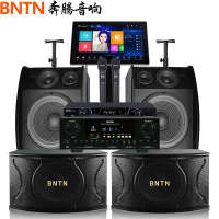 奔腾(BNTN)套装家庭影院 点歌机KTV音响套装 卡拉OK 专业会议音响 电视音响 舞台音响 12音箱一拖四点歌机