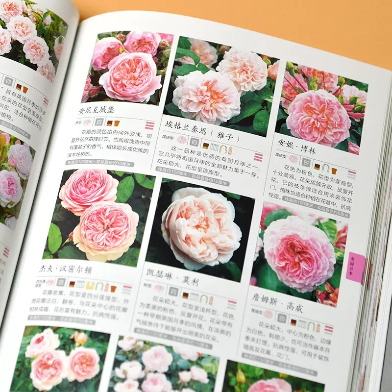 [醉染正版] 玫瑰花月季花图鉴 植物科普百科全书书籍 自然科学读物 百科全书 养花养植物养护指南 玫瑰月季基础知
