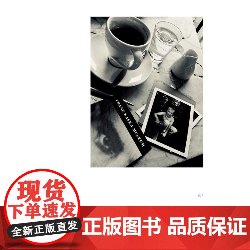 2024豆瓣年度书单]从昨日醒来帕蒂史密斯的影像日记 美国国家图书奖得主新作上海人民朋克教母摇滚桂冠诗人视觉艺术家私藏影高清大图