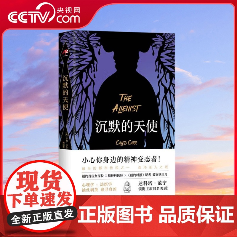 【央视网】沉默的天使 美国有名小说家卡勒•卡尔的长篇侦探小说 讲述了一个以精神病医师为主导的团队侦破连环杀人案件的故事X