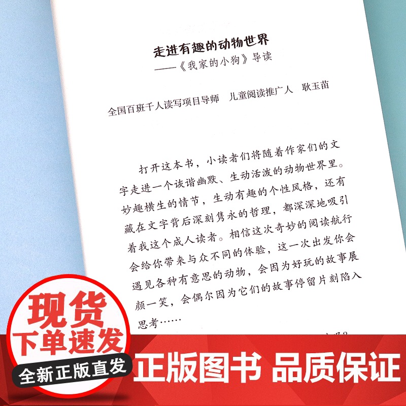 三年级上册必读课外书经典全套6册小学语文教材同步阅读书籍 胡萝卜先生的长胡子王一梅童话故事书父亲树林和鸟一块奶酪书老师高清大图