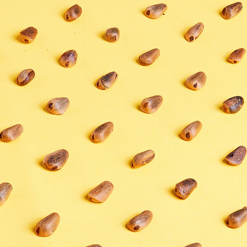 臻味 东北松子300g/罐高清大图