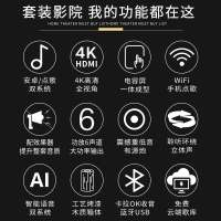 奔腾(BNTN)套装家庭影院KTV音响卡拉OK音箱组合点歌机电视客厅会议音响5.1声道功放低音炮无线话筒效果器全套