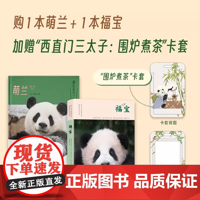 萌兰 熊猫 曾祥录 巴顿洛洛近2000天跟拍 全景式记录萌兰2-8岁成长历程 大熊猫类型题材正版书籍高清大图