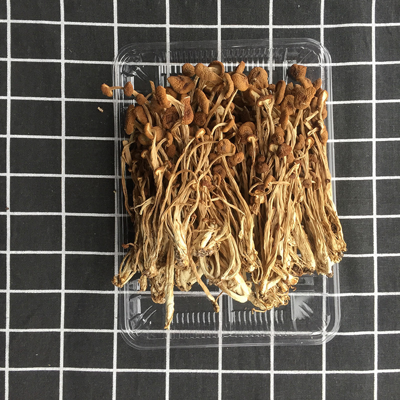 草本家 茶树菇250g精选不开伞茶树菇福建古田茶树菇干货非广昌茶树菇