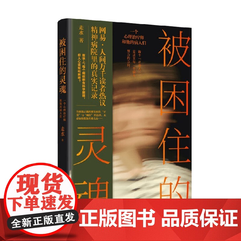 被困住的灵魂 一个心理治疗师和他的病人们 走水 著 15个震撼人心的故事 心理治疗师观察下的患者的唏嘘人生 人间非虚构专高清大图