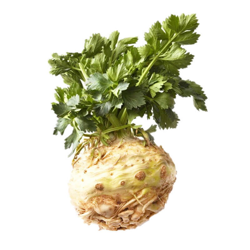 根洋芹500g根芹块芹菜球根塘蒿新鲜蔬菜香料