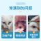 宠物猫咪眼部湿巾狗狗去泪痕眼部护理清洁眼屎泰迪比熊擦眼睛神器 眼部湿巾-130p*1罐