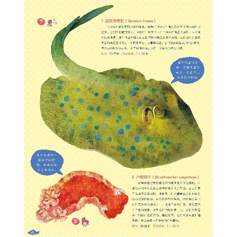 正版新书]海洋世界(意)切萨雷·德拉皮耶塔9787514389425高清大图