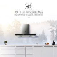 Haier/海尔吸油烟机欧式WiFi智能操控自清洗吸油烟机18立方大风量CXW-200-E900T9W自清洁欧式大吸力