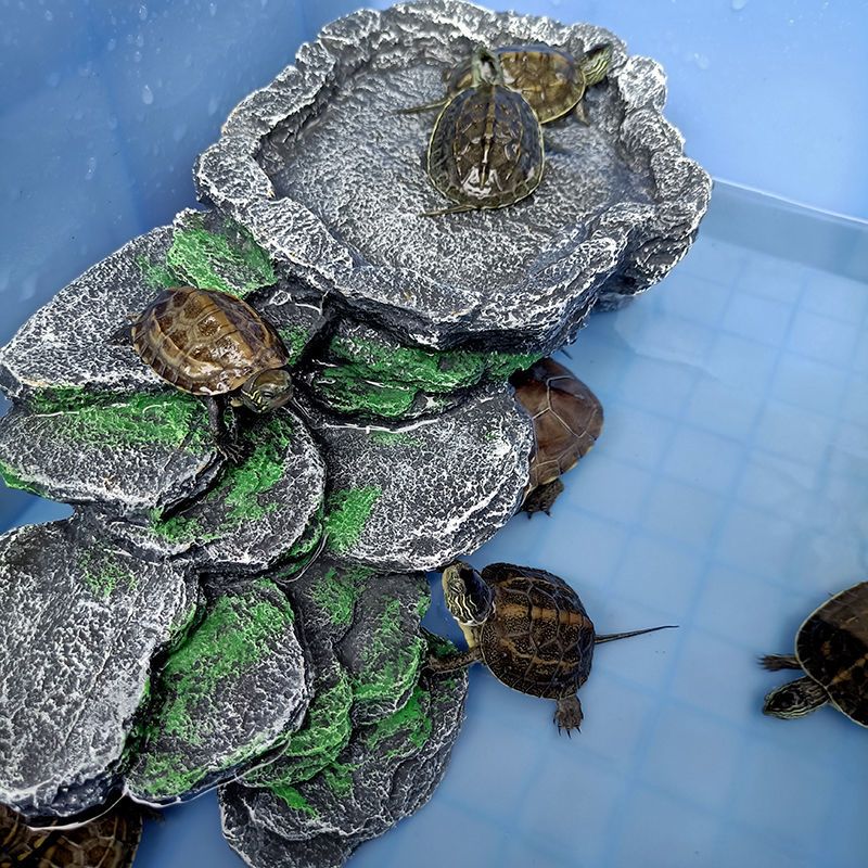 乌龟晒台爬台躲避洞穴水龟缸造景龟箱爬坡养龟屋晒背台通用沉水简易龟