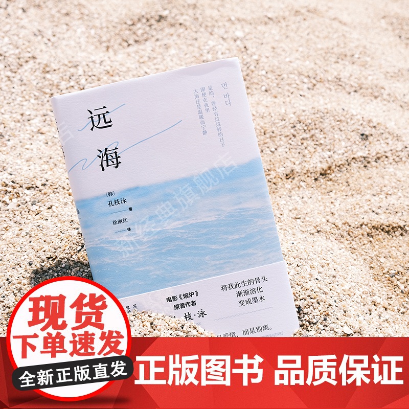 远海 孔枝泳 《熔炉》作者新作 正版 韩国 长篇小说文学图书 你的夏天还好吗金爱烂82年生的金智英关于女儿韩江不做告高清大图