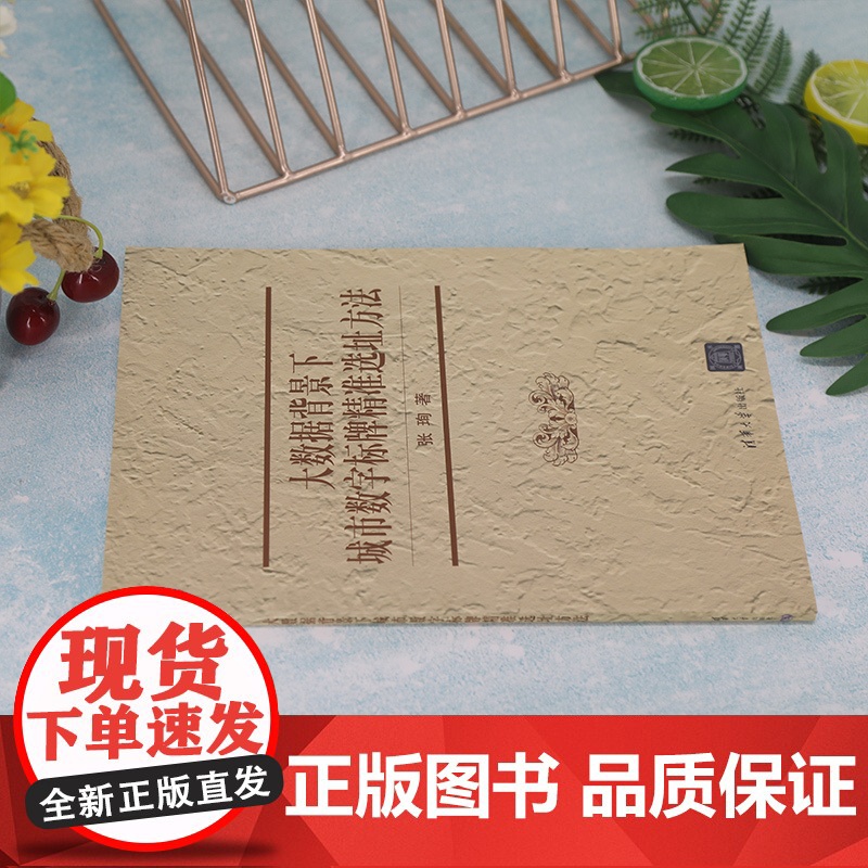 [正版]大数据背景下城市数字标牌精准选址方法 张珣 清华大学出版社 计算机应用城市空间高清大图