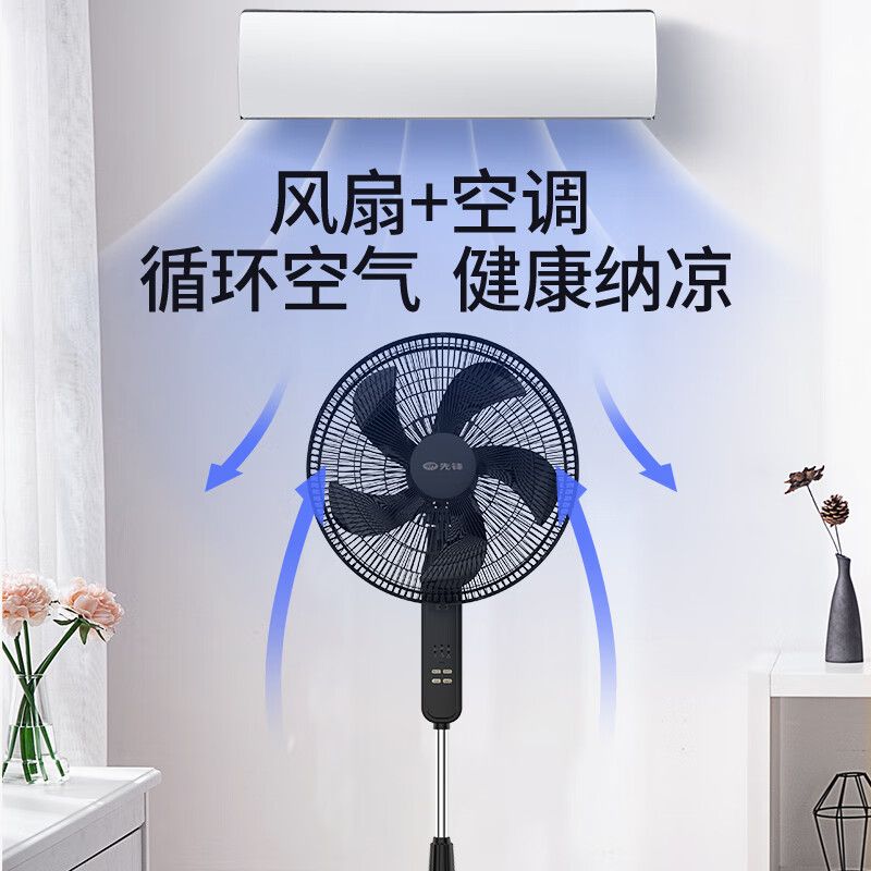 先锋(SINGFUN) FS40-21AR 落地扇 电风扇 (计价单位:台) 黑色高清大图