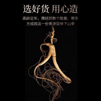青源堂牌 人参 林下山参 3~4支 20克 健康礼盒 精选长白山山参林下参移山参礼