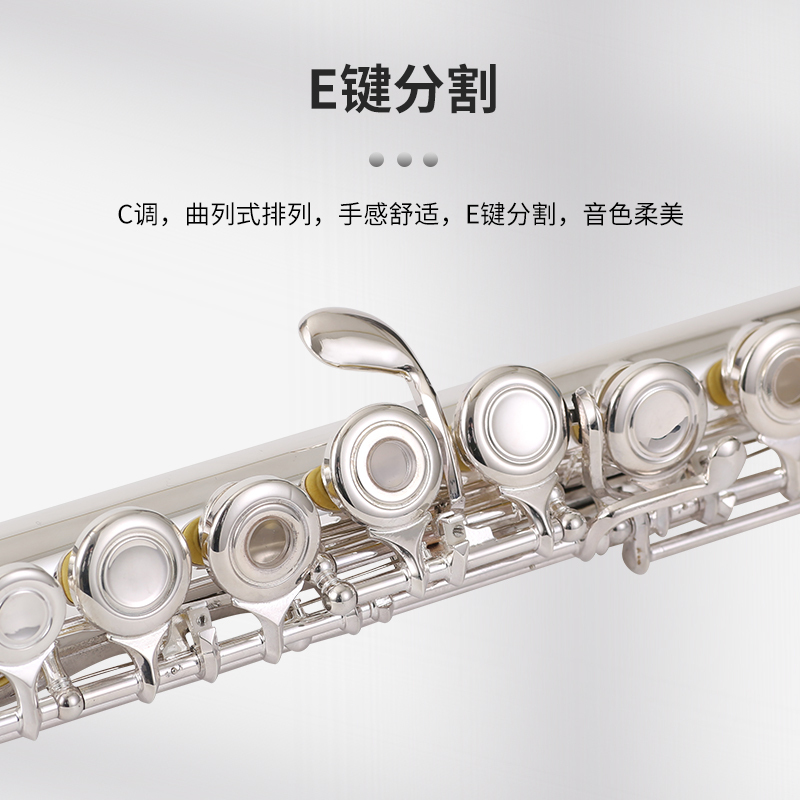 朗动(LMOVE) 长笛乐器LD-602 17开闭双用富贵银长笛学生初学儿童入门考级演奏