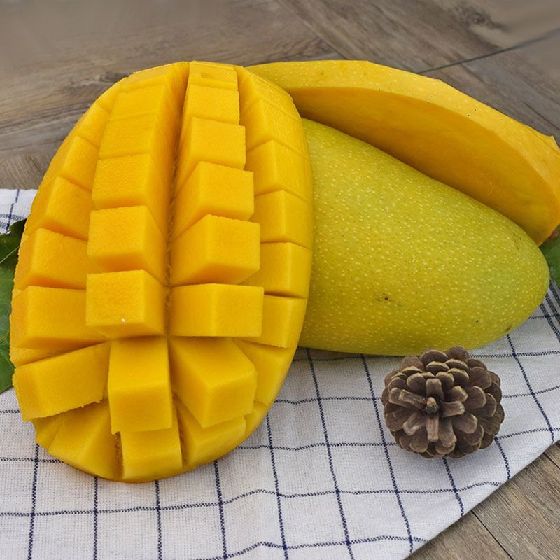 1000份起订高乐蜜芒果优质超大果9斤装单果350g起