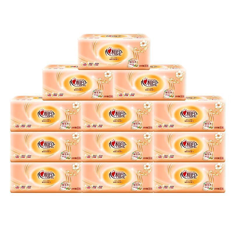 心相印 金装经典系列24包100抽3层塑装纸面巾DT55100